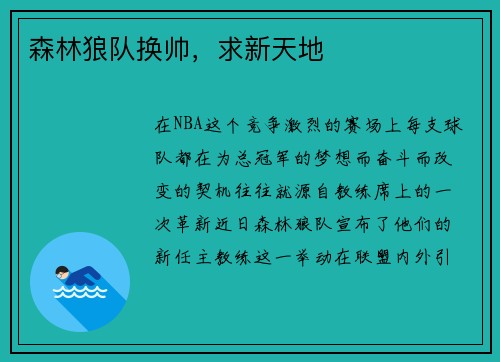 森林狼队换帅，求新天地